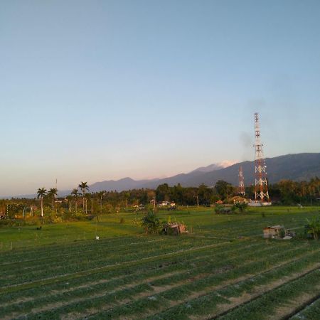 Villa Bintang ロヴィーナ エクステリア 写真