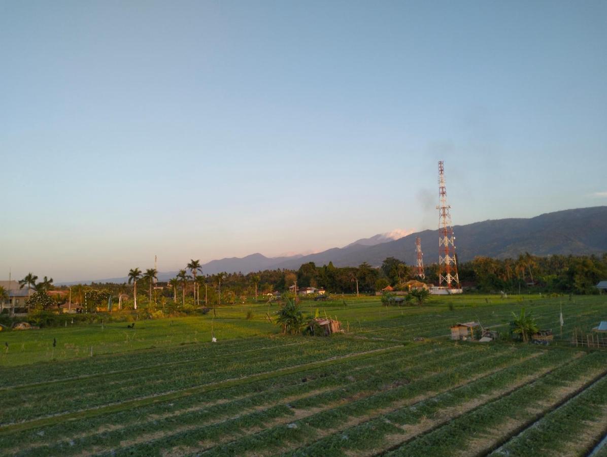 Villa Bintang ロヴィーナ エクステリア 写真